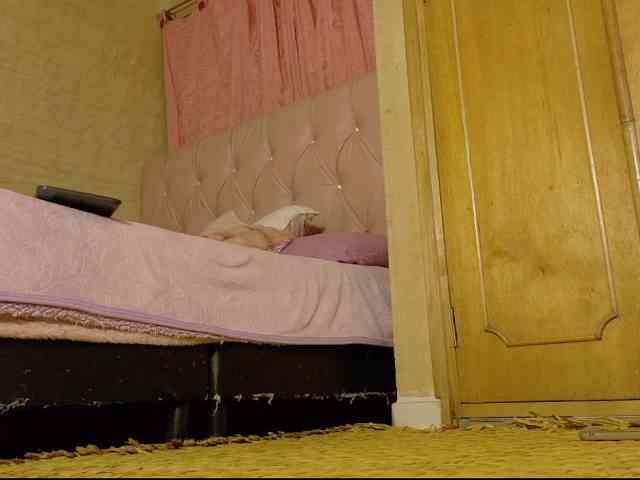 ManuMeow webcam