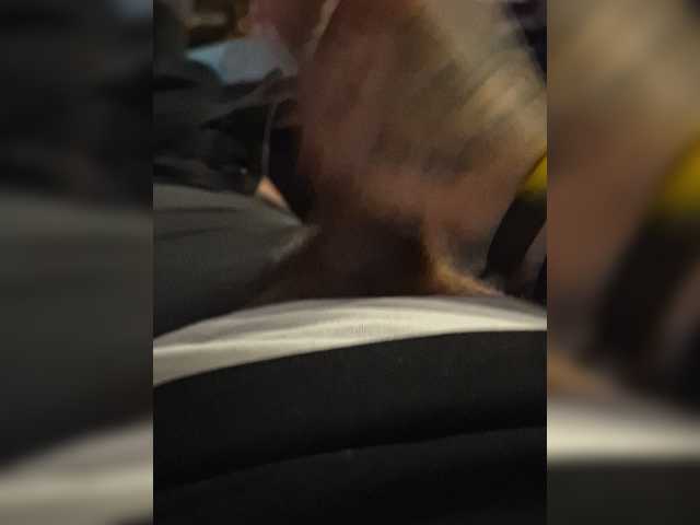 SexySpence