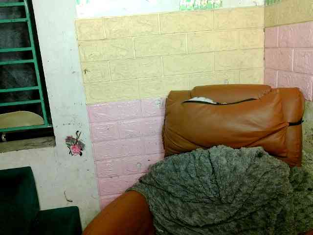 minanaxx webcam