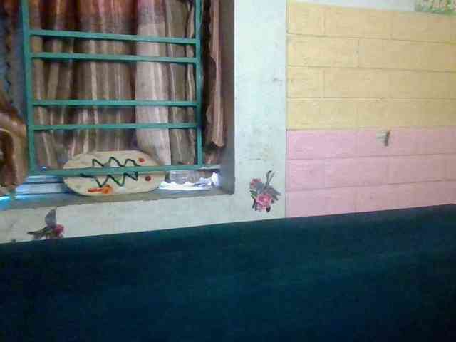 minanaxx webcam