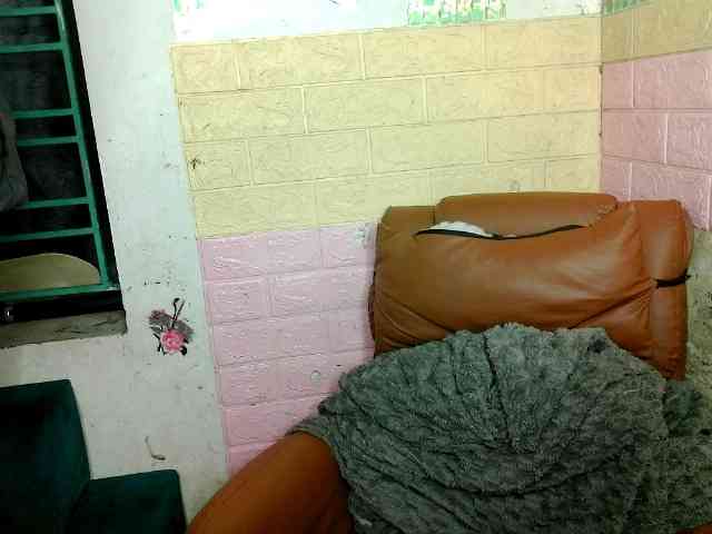 minanaxx webcam