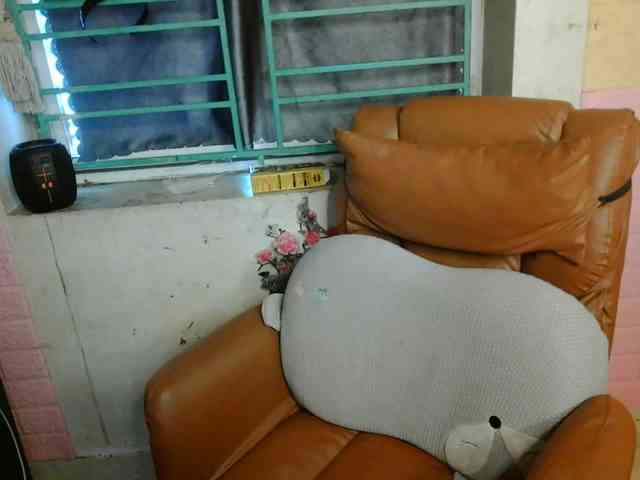 minanaxx webcam