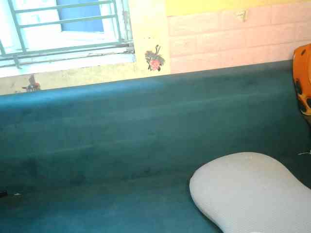 minanaxx webcam