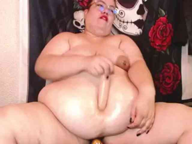 Foxbell webcam