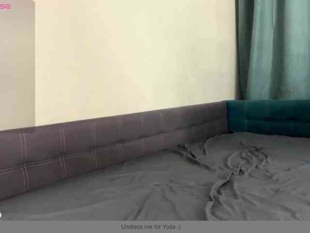 EvaSok webcam