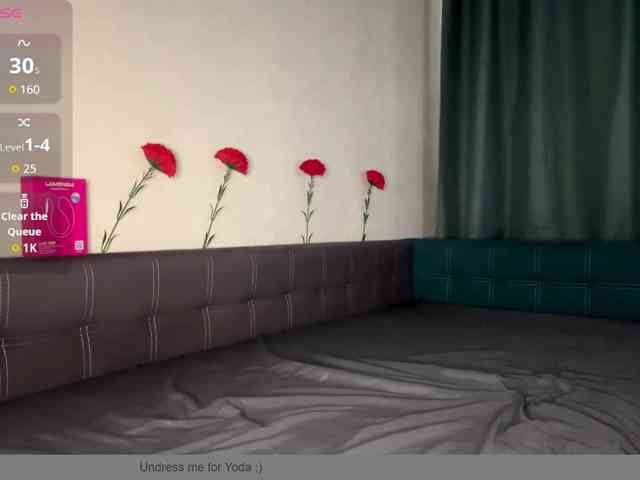 EvaSok webcam