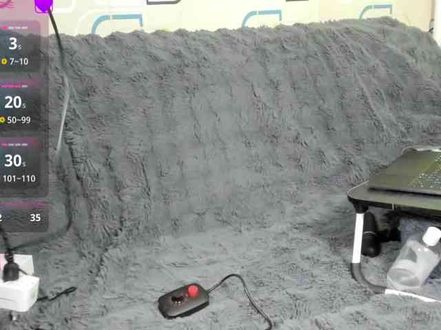 vulgarnekko webcam