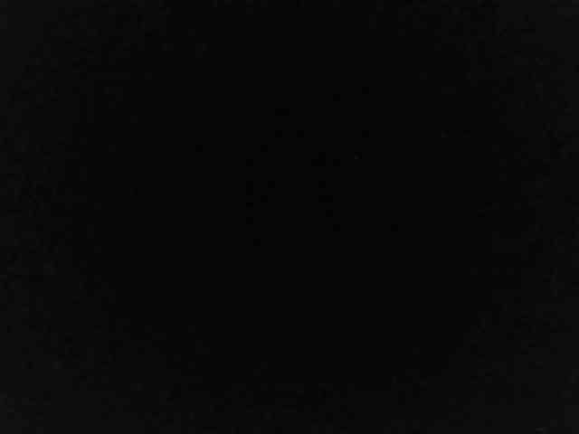 flakkari webcam