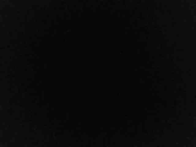 flakkari webcam