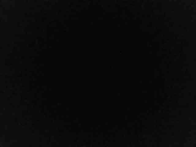 flakkari webcam