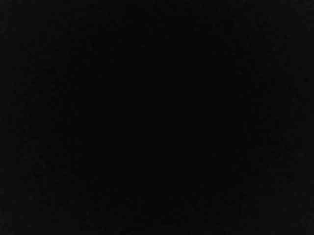 flakkari webcam