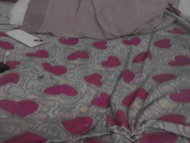flakkari webcam