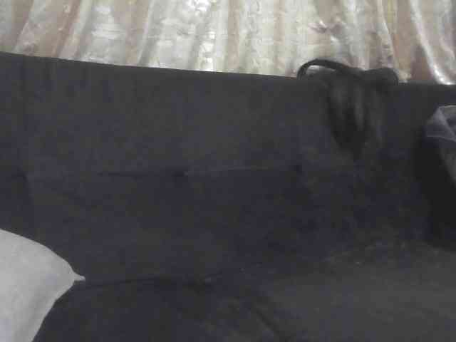 flakkari webcam
