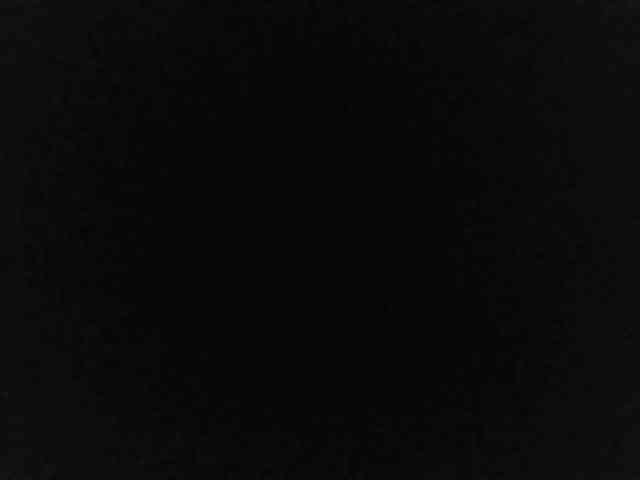 flakkari webcam