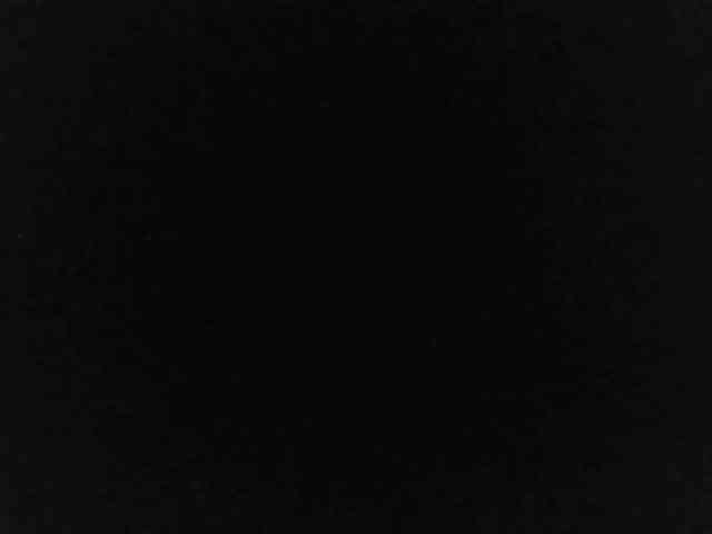 flakkari webcam