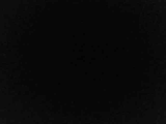 flakkari webcam