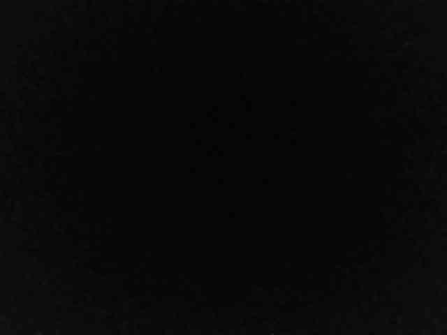 flakkari webcam