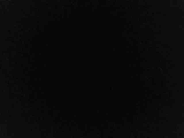 flakkari webcam