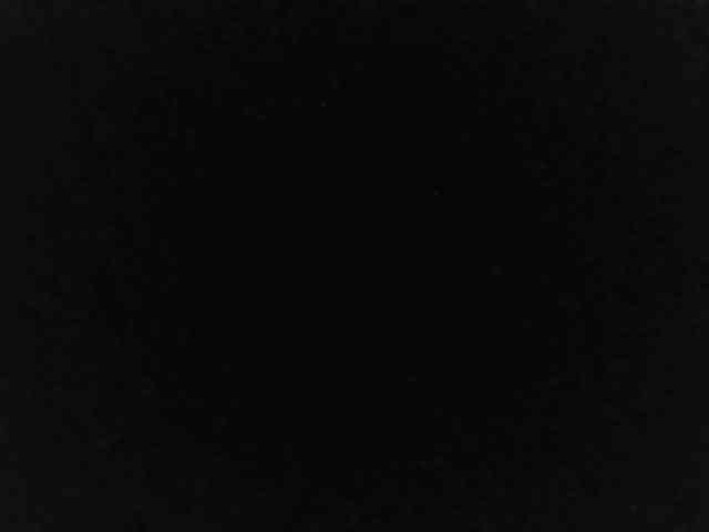 flakkari webcam