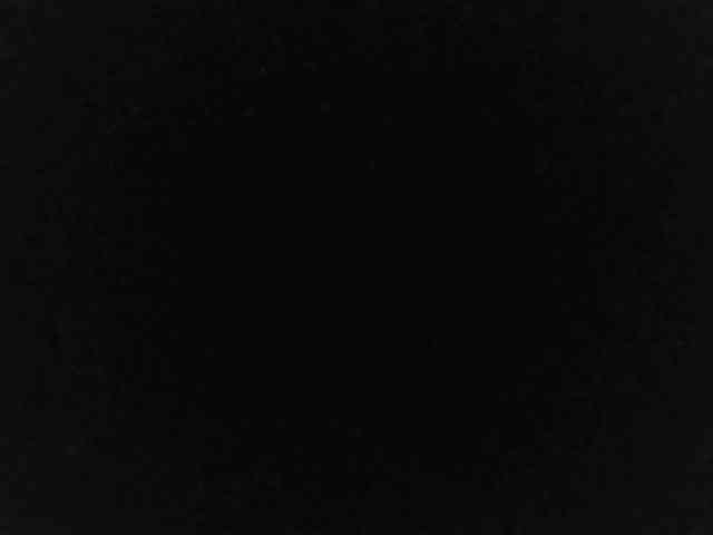 flakkari webcam