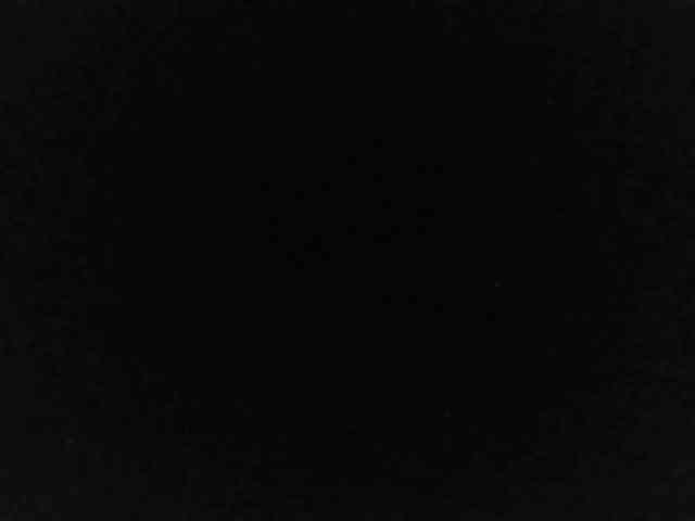 flakkari webcam