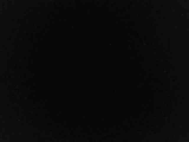 flakkari webcam