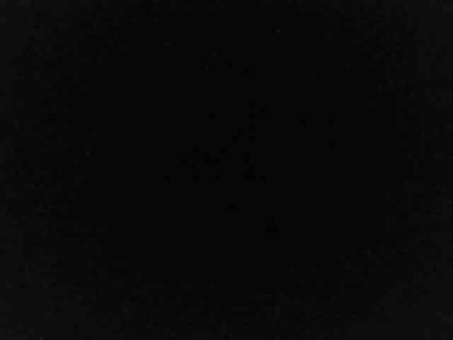 flakkari webcam