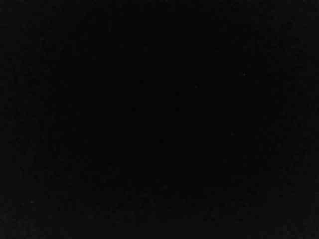 flakkari webcam