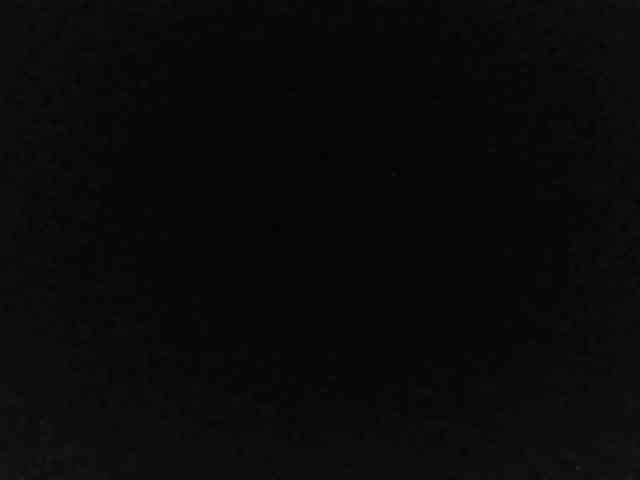 flakkari webcam