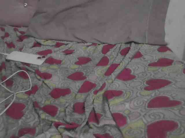 flakkari webcam