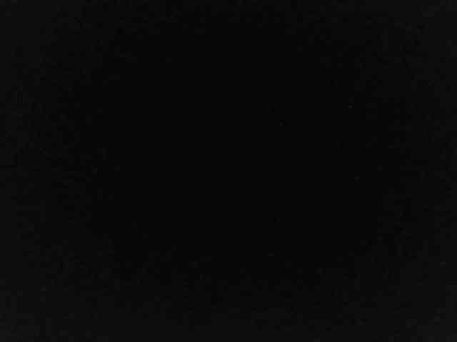 flakkari webcam