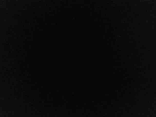 flakkari webcam