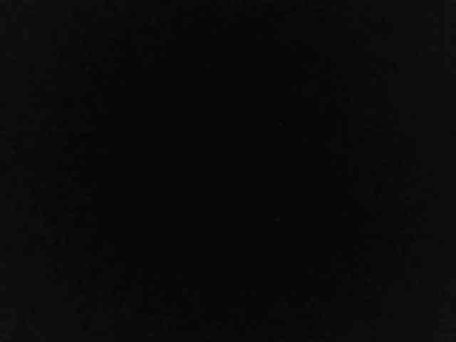 flakkari webcam