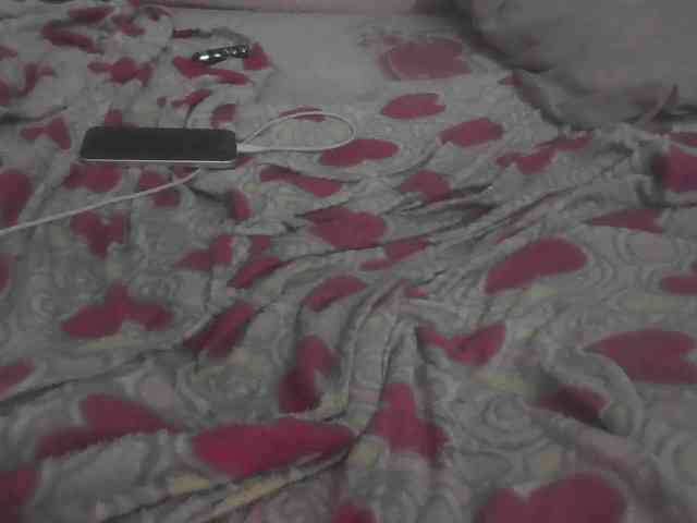 flakkari webcam