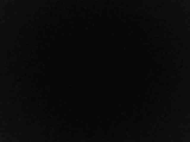 flakkari webcam