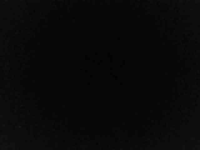 flakkari webcam