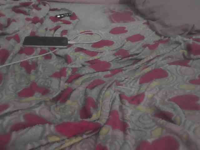 flakkari webcam