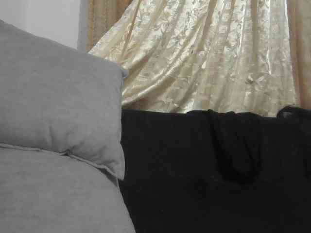 flakkari webcam