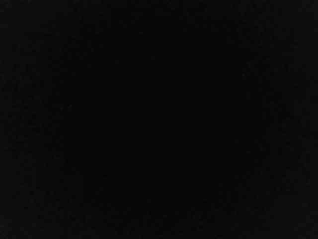 flakkari webcam