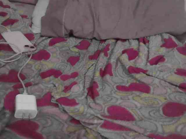 flakkari webcam