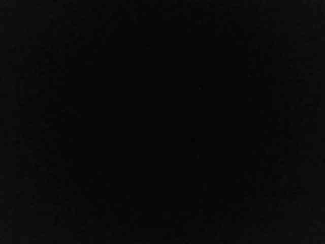 flakkari webcam