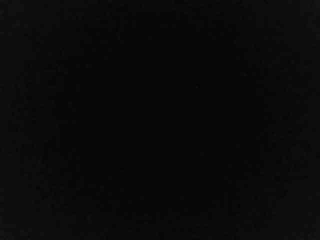 flakkari webcam