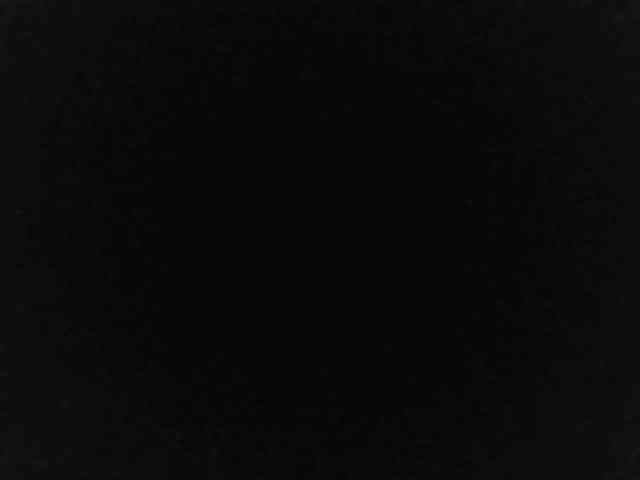 flakkari webcam