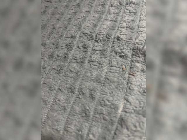 Bipara25