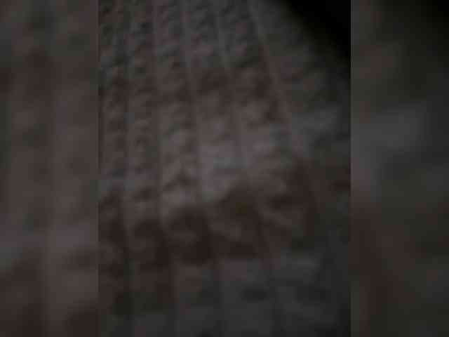 Bipara25 webcam