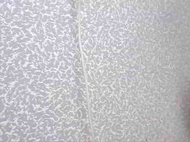 ElizabetHoldon webcam