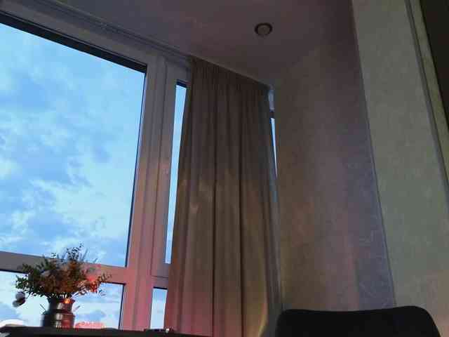 Munris webcam