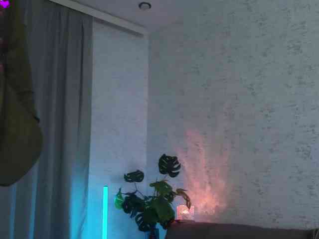 Munris webcam