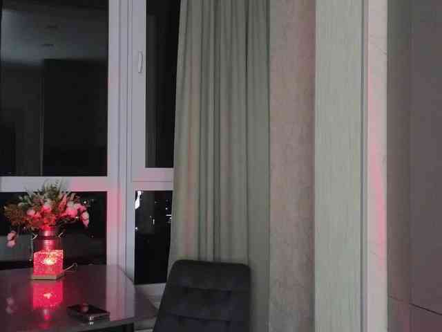 Munris webcam
