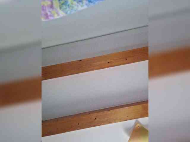ritta8989